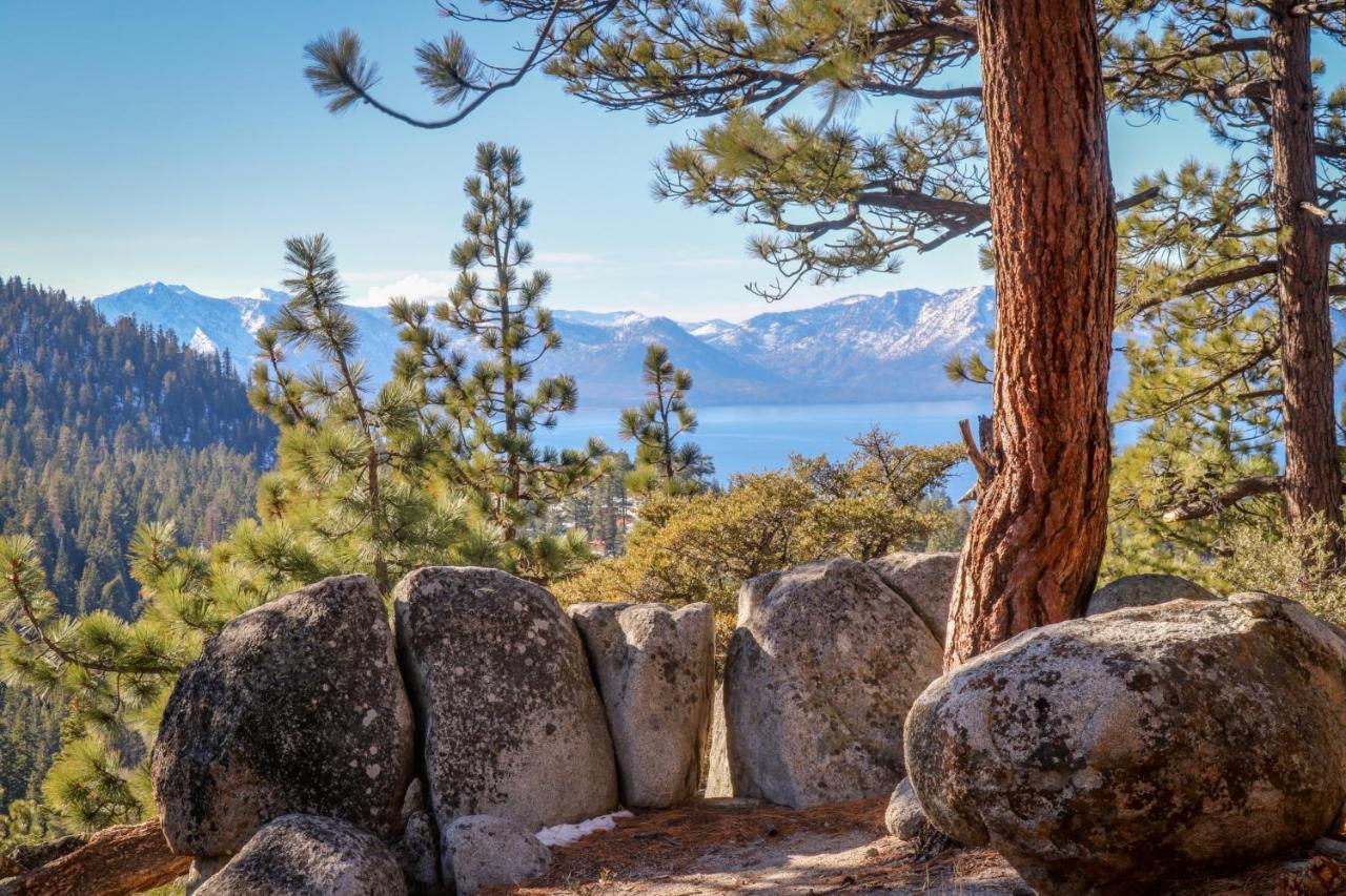 Pine Tree Place - Unit 1 Hotel South Lake Tahoe Exterior photo